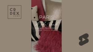 Thumbnail CODEX-HOME-PARIS